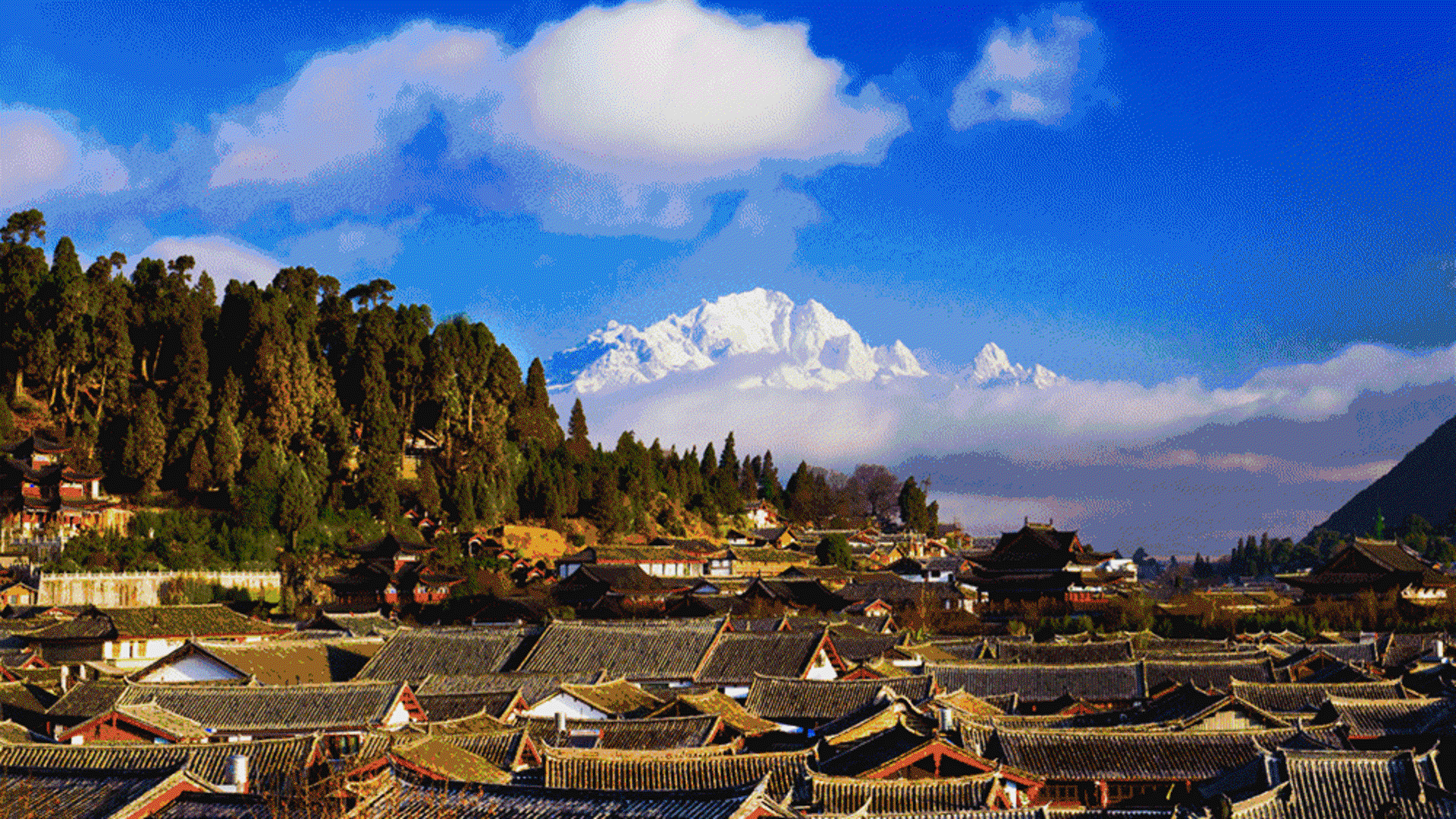 云中旅旅游